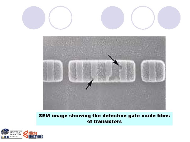 SEM image showing the defective gate oxide films of transistors 