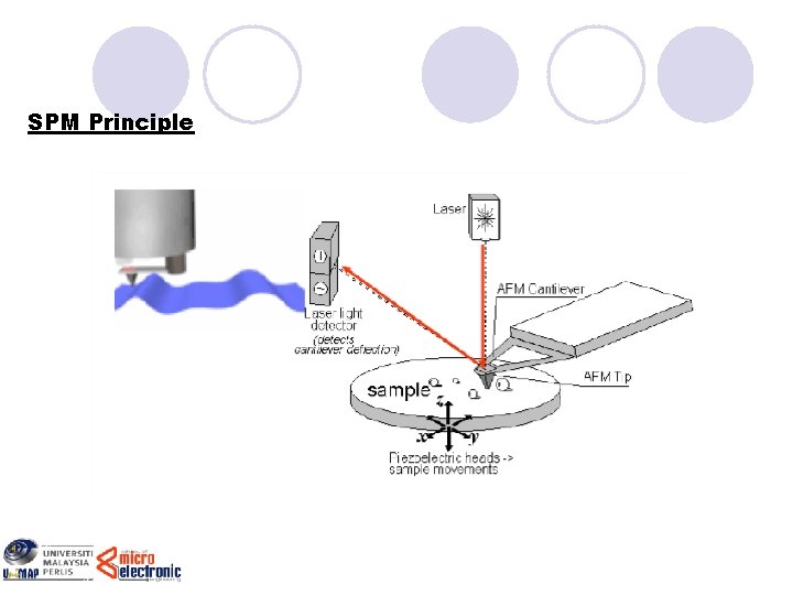 SPM Principle 