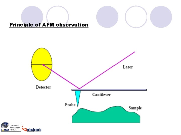 Principle of AFM observation 