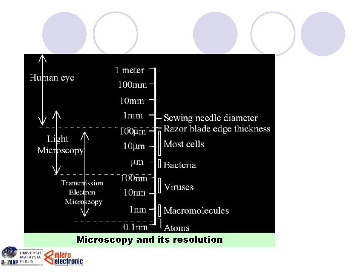 Microscopy and its resolution 