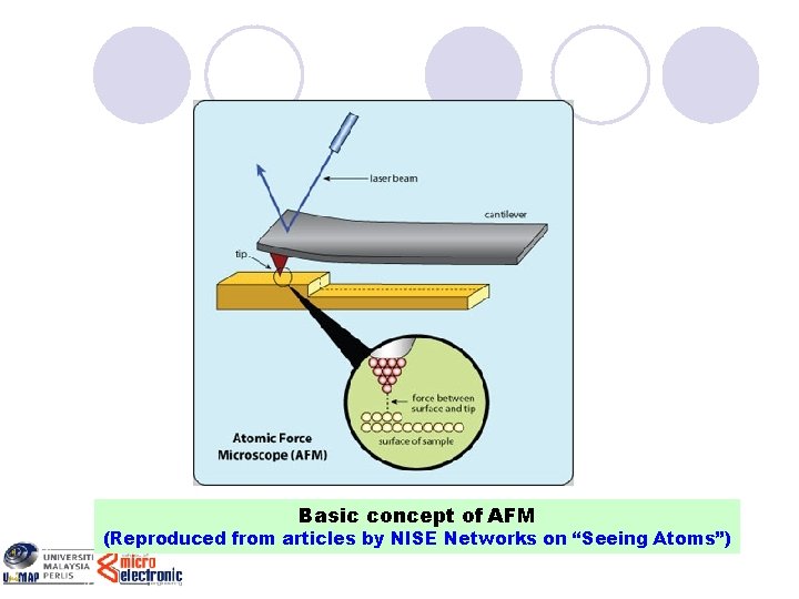 Basic concept of AFM (Reproduced from articles by NISE Networks on “Seeing Atoms”) 