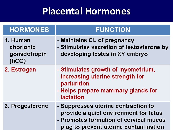 Placental Hormones HORMONES FUNCTION 1. Human chorionic gonadotropin (h. CG) - Maintains CL of