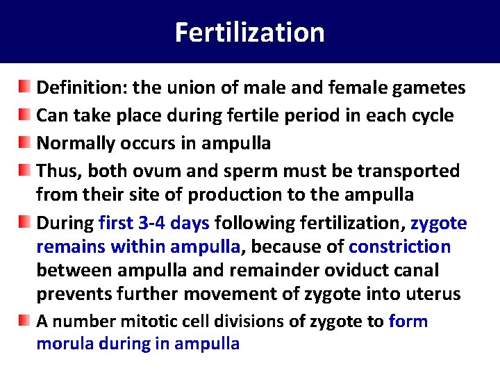 Fertilization Definition: the union of male and female gametes Can take place during fertile
