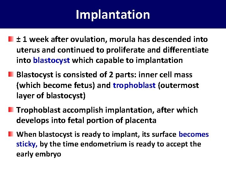 Implantation ± 1 week after ovulation, morula has descended into uterus and continued to