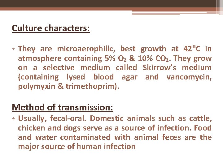  Culture characters: • They are microaerophilic, best growth at 42⁰C in atmosphere containing