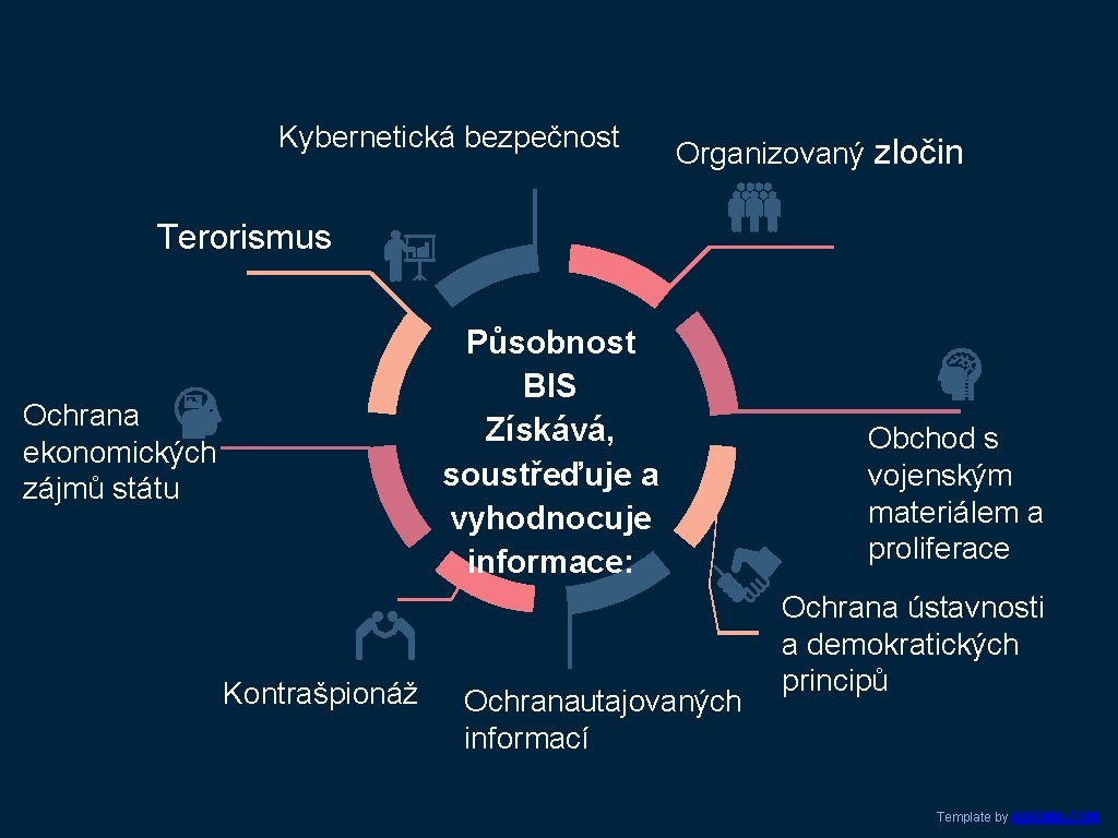 Kybernetická bezpečnost Organizovaný zločin Terorismus Ochrana ekonomických zájmů státu Kontrašpionáž Působnost BIS Získává, soustřeďuje