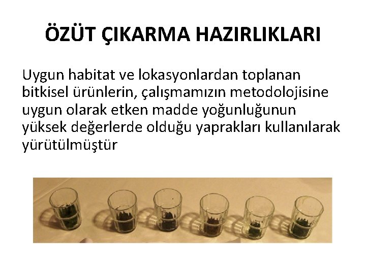 ÖZÜT ÇIKARMA HAZIRLIKLARI Uygun habitat ve lokasyonlardan toplanan bitkisel ürünlerin, çalışmamızın metodolojisine uygun olarak