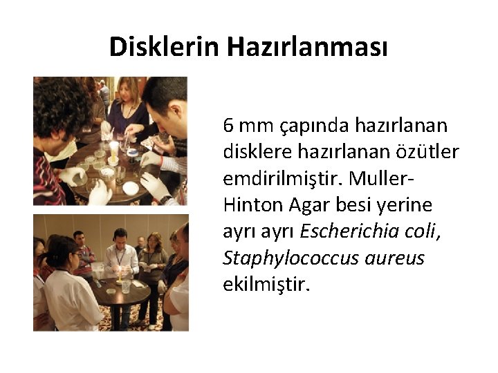 Disklerin Hazırlanması 6 mm çapında hazırlanan disklere hazırlanan özütler emdirilmiştir. Muller. Hinton Agar besi