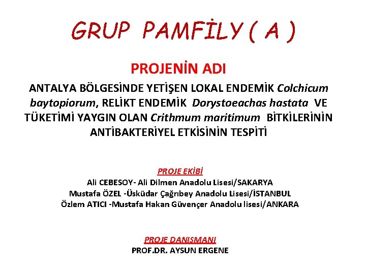 GRUP PAMFİLY ( A ) PROJENİN ADI ANTALYA BÖLGESİNDE YETİŞEN LOKAL ENDEMİK Colchicum baytopiorum,