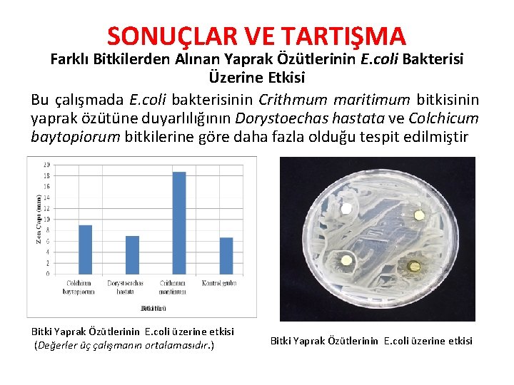 SONUÇLAR VE TARTIŞMA Farklı Bitkilerden Alınan Yaprak Özütlerinin E. coli Bakterisi Üzerine Etkisi Bu