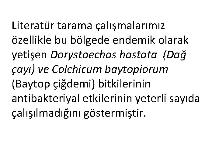 Literatür tarama çalışmalarımız özellikle bu bölgede endemik olarak yetişen Dorystoechas hastata (Dağ çayı) ve