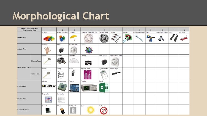 Morphological Chart 