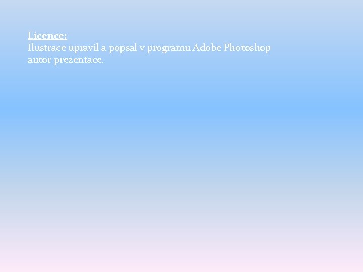 Licence: Ilustrace upravil a popsal v programu Adobe Photoshop autor prezentace. 