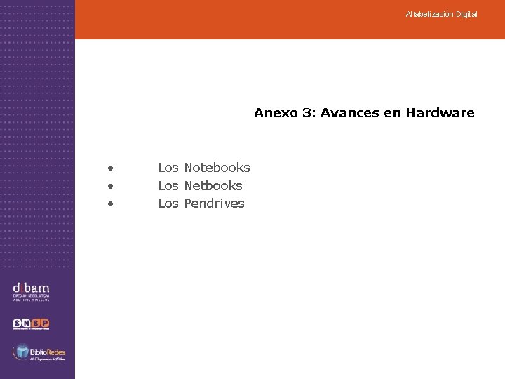 Alfabetización Digital Anexo 3: Avances en Hardware • • • Los Notebooks Los Netbooks