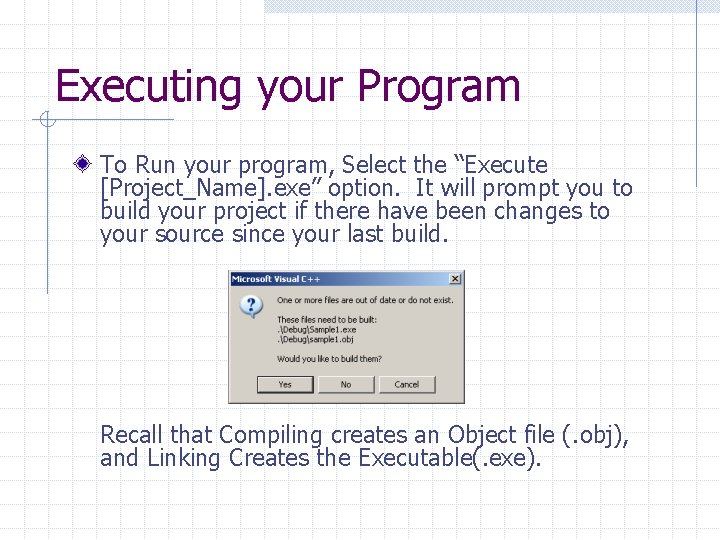 Executing your Program To Run your program, Select the “Execute [Project_Name]. exe” option. It