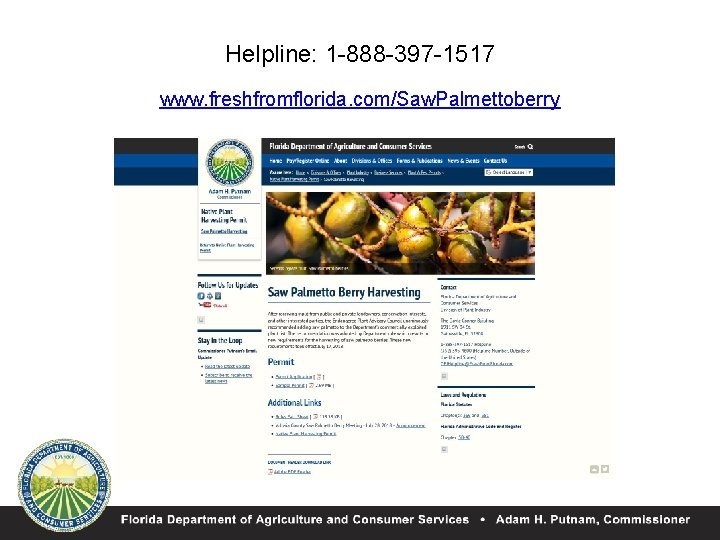 Helpline: 1 -888 -397 -1517 www. freshfromflorida. com/Saw. Palmettoberry 