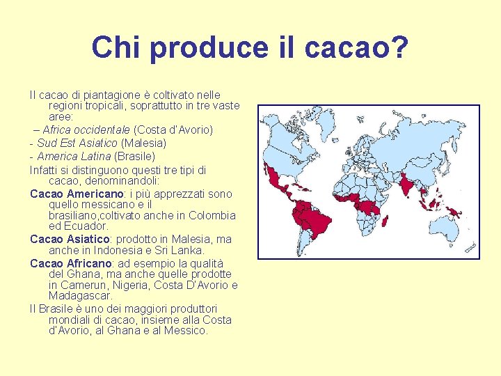 Chi produce il cacao? Il cacao di piantagione è coltivato nelle regioni tropicali, soprattutto