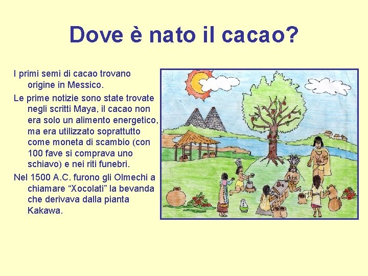 Dove è nato il cacao? I primi semi di cacao trovano origine in Messico.