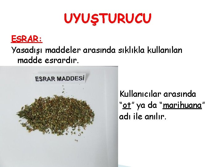 UYUŞTURUCU ESRAR: Yasadışı maddeler arasında sıklıkla kullanılan madde esrardır. Kullanıcılar arasında “ot” ya da