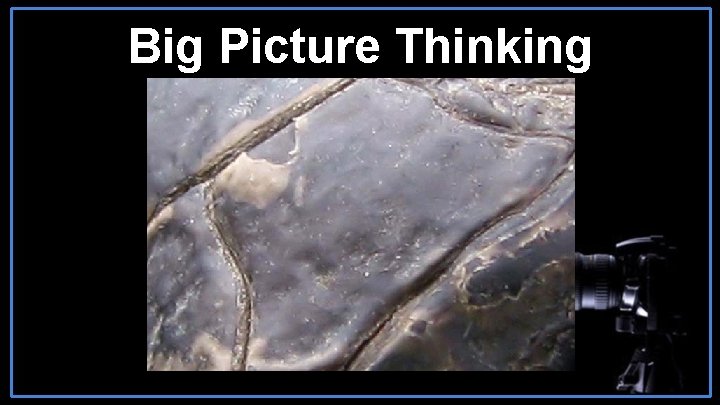 Big Picture Thinking 