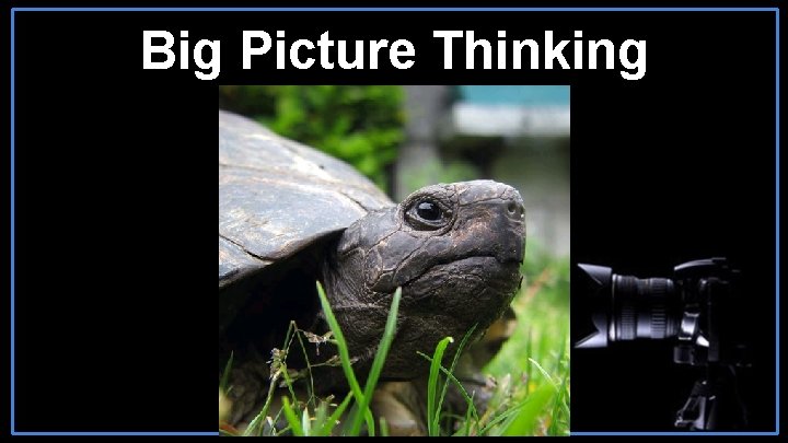 Big Picture Thinking 