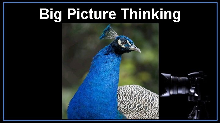 Big Picture Thinking 