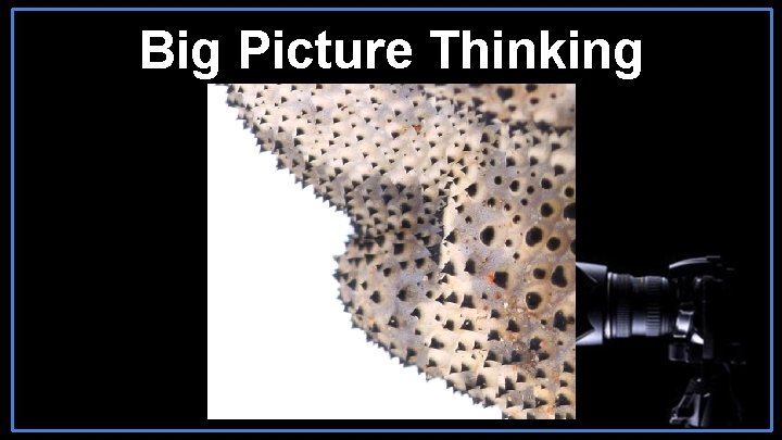 Big Picture Thinking 