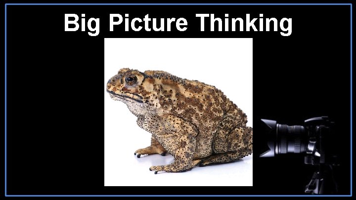 Big Picture Thinking 