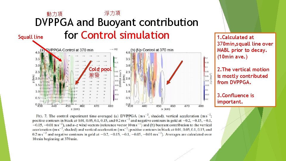 動力項 浮力項 DVPPGA and Buoyant contribution for Control simulation Squall line Cold pool 激發