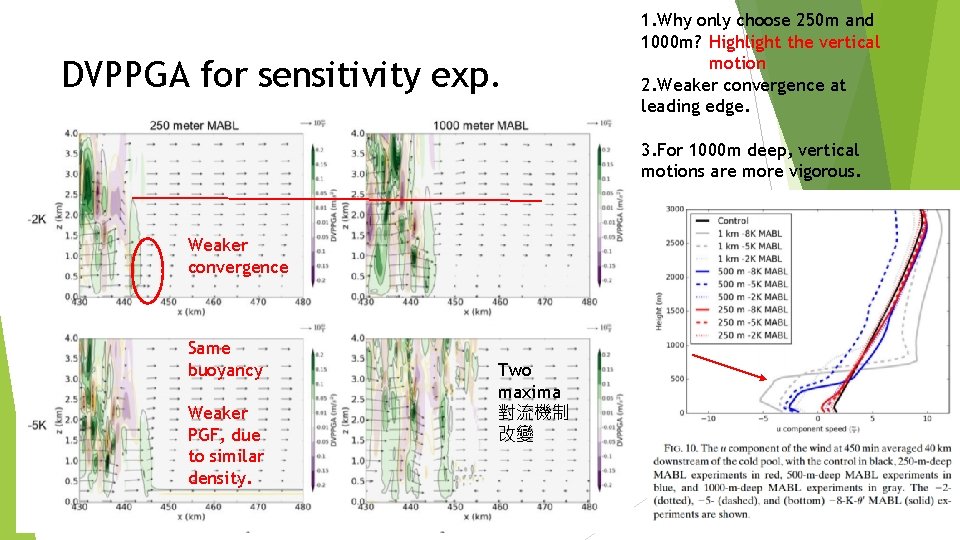 DVPPGA for sensitivity exp. 1. Why only choose 250 m and 1000 m? Highlight