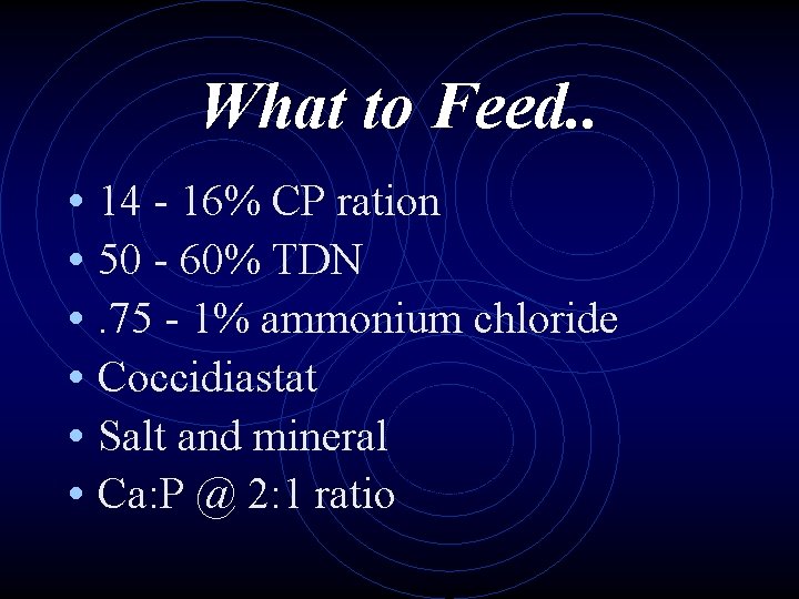 What to Feed. . • 14 - 16% CP ration • 50 - 60%