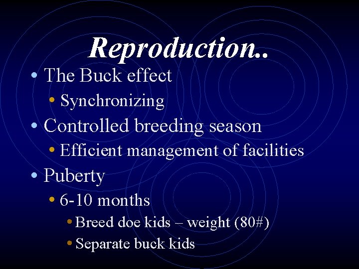 Reproduction. . • The Buck effect • Synchronizing • Controlled breeding season • Efficient