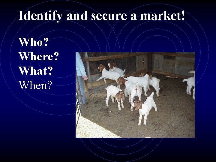 Identify and secure a market! Who? Where? What? When? 