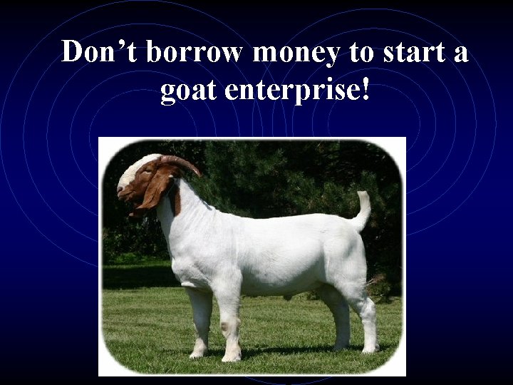 Don’t borrow money to start a goat enterprise! 