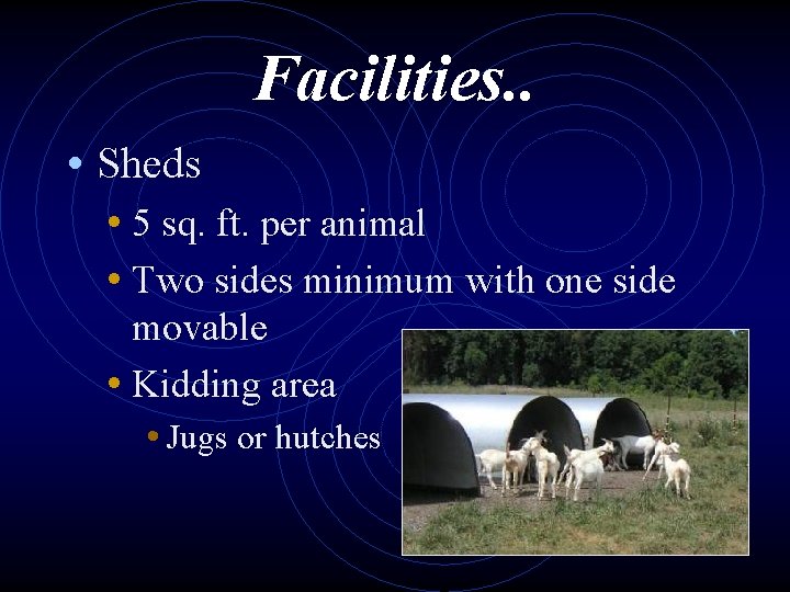 Facilities. . • Sheds • 5 sq. ft. per animal • Two sides minimum