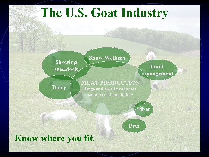 The U. S. Goat Industry Showing seedstock Dairy Show Wethers Land management MEAT PRODUCTION