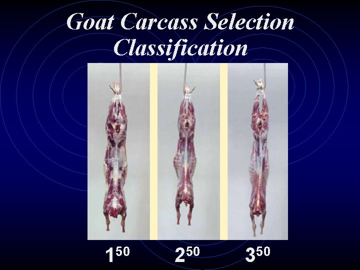 Goat Carcass Selection Classification 150 250 350 