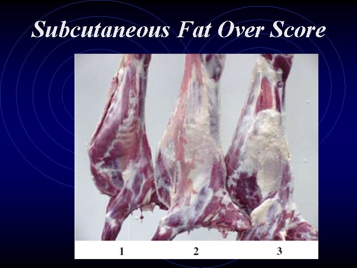 Subcutaneous Fat Over Score 