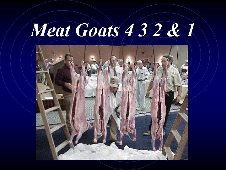 Meat Goats 4 3 2 & 1 