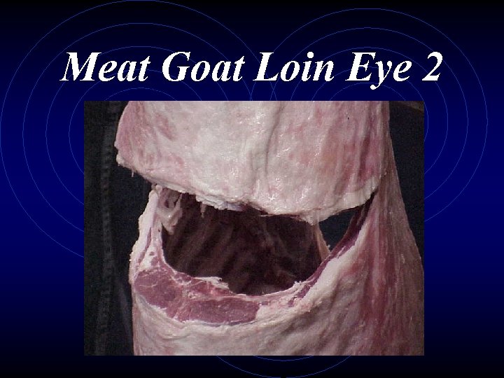 Meat Goat Loin Eye 2 