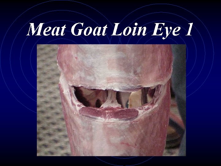 Meat Goat Loin Eye 1 