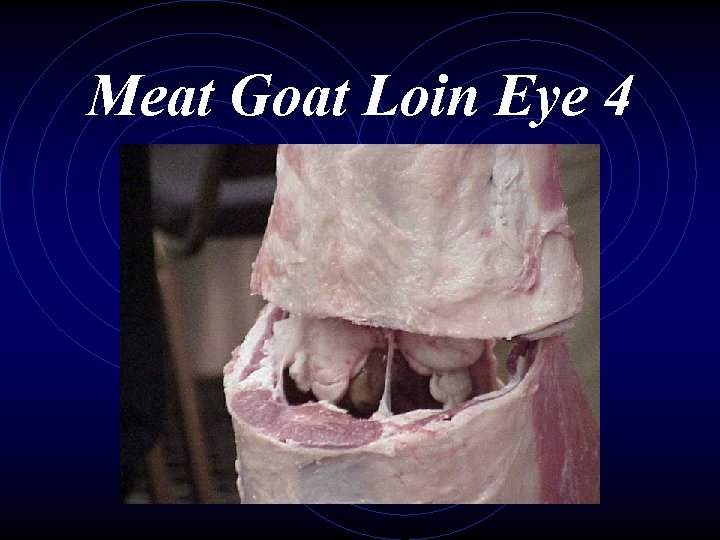 Meat Goat Loin Eye 4 