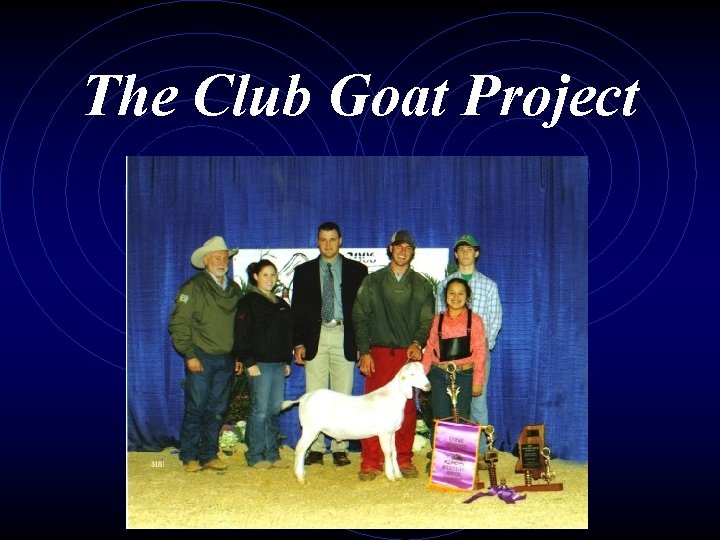 The Club Goat Project 