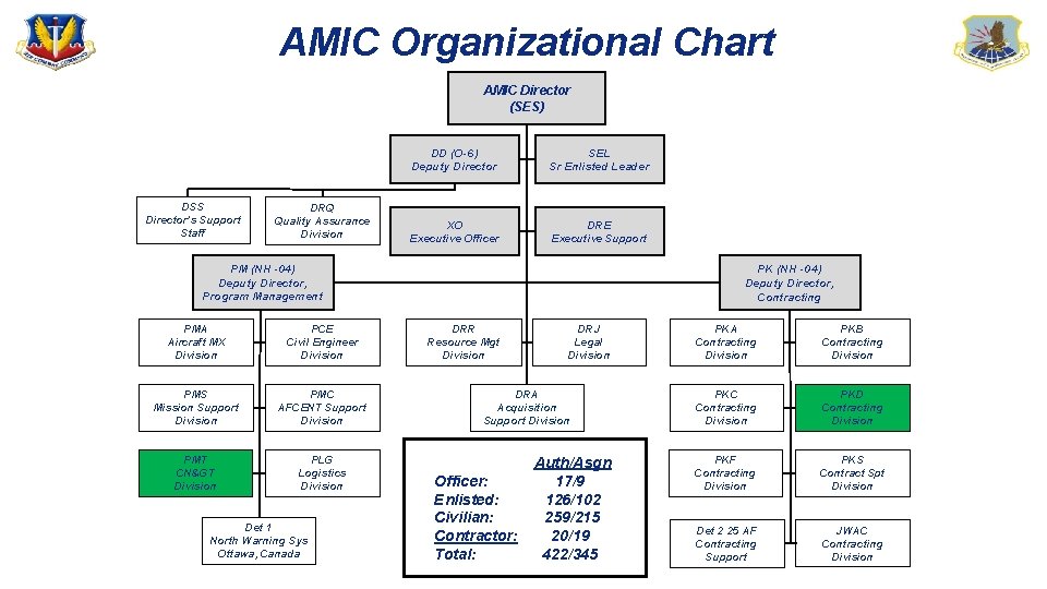 AMIC Organizational Chart AMIC Director (SES) DSS Director’s Support Staff DRQ Quality Assurance Division