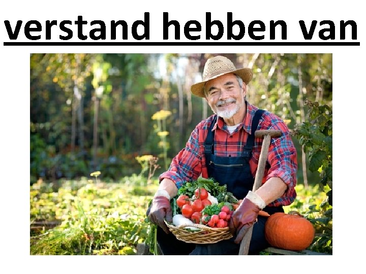 verstand hebben van 