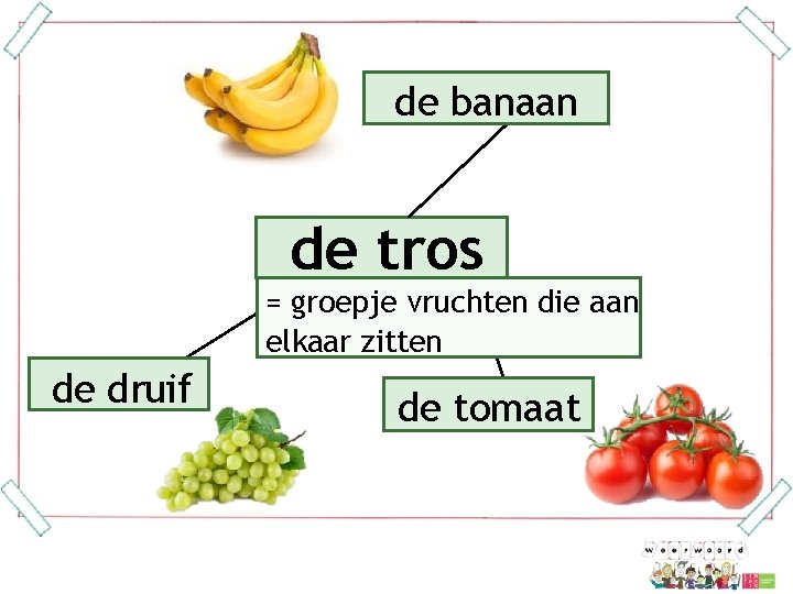 de banaan de tros = groepje vruchten die aan elkaar zitten de druif de