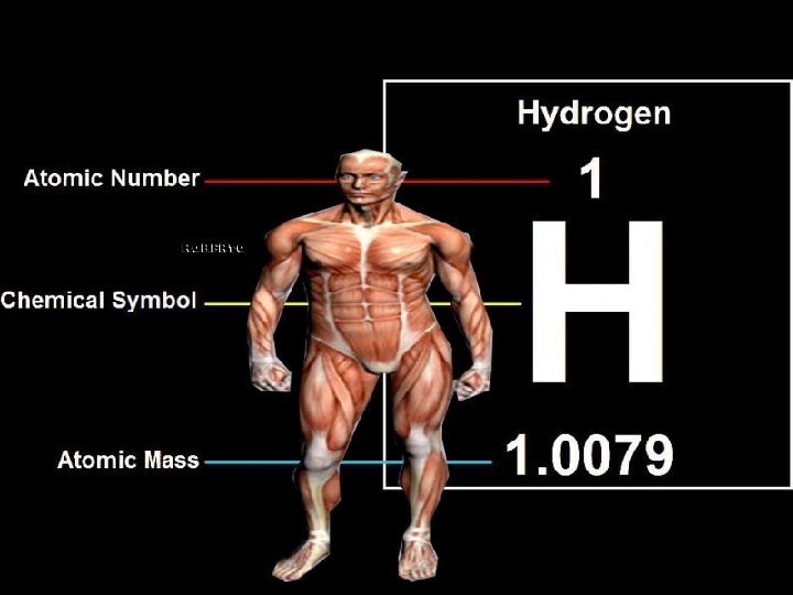 Cuando se reduce el cuerpo del hombre a sus elementos básicos, se encuentra que