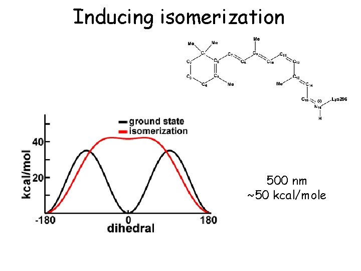 Inducing isomerization 500 nm ~50 kcal/mole 