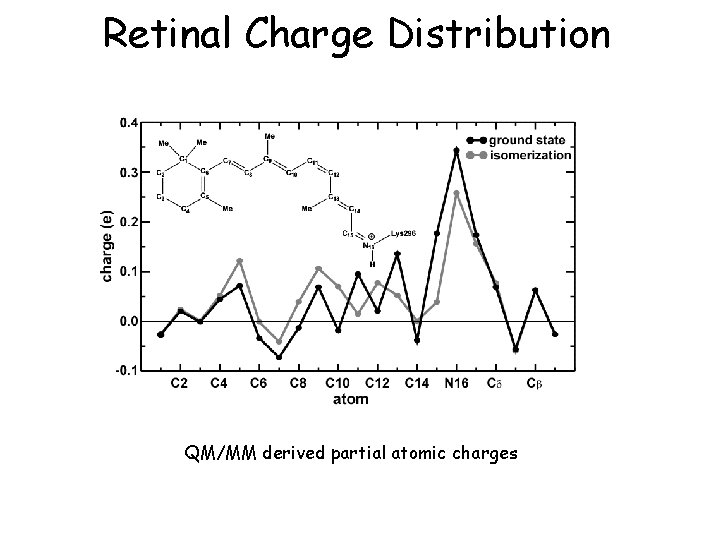 Retinal Charge Distribution QM/MM derived partial atomic charges 