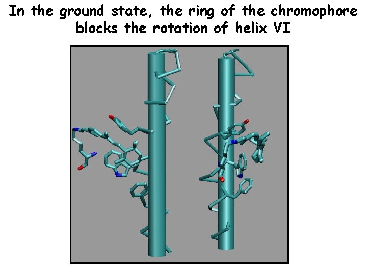In the ground state, the ring of the chromophore blocks the rotation of helix